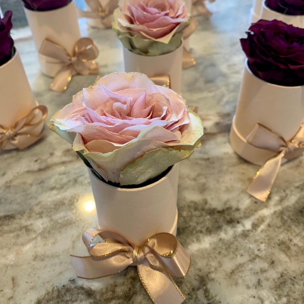 PINK colored preserved real rose in mini box